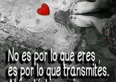 Frase de Magia e Ilusión